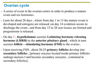 Ovarian cycle
 A series of event in the ovarian cortex in order to produce a mature
ovum and sex hormones .
 Lasts for about 28 days , where from day 1 to 13 the mature ovum is
developed and estrogens are released ,on day 14 ovulation occurs to
discharge the ovum , and from day 15 to 28 scar tissues are formed and
progesterone is released .
 On day 1 , hypothalamus secretes Latinizing hormone releasing
hormone (LHRH) to the anterior pituitary gland , which in turn
secretes follicle – stimulating hormone (FSH) to the ovaries .
 Upon receiving FSH , about 20-25 primary follicles develop into
secondary follicles . [primary oocytes located inside primary follicles
undergo meiosis I and become secondary oocoytes , contained in
secondary follicles] .
 