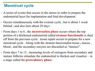 Menstrual cycle
 A series of events that occurs in the uterus in order to prepare the
endometrial layer for implantation and fetal development .
 Occurs simultaneously with the ovarian cycle , but is about 1 week
behind ; and also lasts about 28 days .
 From days 1 to 6 , the menstruation phase occurs where the top
portion of a thickened endometrial called stratum functionalis is shed
off from the previous cycle . tissue repair occurs to prepare for a new
menstrual cycle . Along with the stratum functionalist tissue , mucus ,
blood , and the secondary oocytes are discarded as "menses".
 From days 7 to 13 , increasing levels of estrogens from secondary and
mature follicles stimulate the endometrial to thicken and visualize – in
a stage called the preovulatory phase.
 