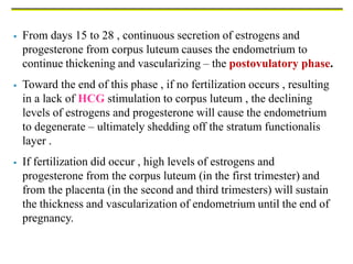  From days 15 to 28 , continuous secretion of estrogens and
progesterone from corpus luteum causes the endometrium to
continue thickening and vascularizing – the postovulatory phase.
 Toward the end of this phase , if no fertilization occurs , resulting
in a lack of HCG stimulation to corpus luteum , the declining
levels of estrogens and progesterone will cause the endometrium
to degenerate – ultimately shedding off the stratum functionalis
layer .
 If fertilization did occur , high levels of estrogens and
progesterone from the corpus luteum (in the first trimester) and
from the placenta (in the second and third trimesters) will sustain
the thickness and vascularization of endometrium until the end of
pregnancy.
 