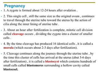 Pregnancy
 1. A zygote is formed about 12-24 hours after ovulation .
 2. This single cell , still the same size as the original ovum , continues
to travel through the uterine tube toward the uterus by the action of
cilia along the inner lining of uterine tube .
 3. About an hour after fertilization is complete, mitotic cell division
called cleavage occurs , dividing the zygote into a cluster of smaller
cells .
 4. By the time cleavage has produced 16 identical cells , it is called a
morula (which occurs about 2-3 days after fertilization).
 5. Cleavage continues along the journey through the uterine tube , by
the time this cluster of cells has arrived at the uterus (abut 5-6 days
after fertilization) , it is called a blastocyst which contains hundreds of
small cells called blastomeres surrounding a hollow cavity called
blastocoel.
 
