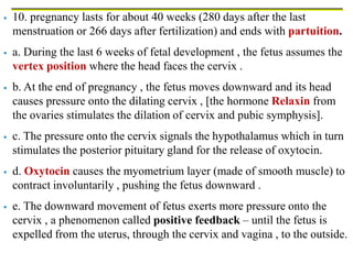  10. pregnancy lasts for about 40 weeks (280 days after the last
menstruation or 266 days after fertilization) and ends with partuition.
 a. During the last 6 weeks of fetal development , the fetus assumes the
vertex position where the head faces the cervix .
 b. At the end of pregnancy , the fetus moves downward and its head
causes pressure onto the dilating cervix , [the hormone Relaxin from
the ovaries stimulates the dilation of cervix and pubic symphysis].
 c. The pressure onto the cervix signals the hypothalamus which in turn
stimulates the posterior pituitary gland for the release of oxytocin.
 d. Oxytocin causes the myometrium layer (made of smooth muscle) to
contract involuntarily , pushing the fetus downward .
 e. The downward movement of fetus exerts more pressure onto the
cervix , a phenomenon called positive feedback – until the fetus is
expelled from the uterus, through the cervix and vagina , to the outside.
 