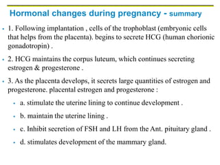 Hormonal changes during pregnancy - summary
 1. Following implantation , cells of the trophoblast (embryonic cells
that helps from the placenta). begins to secrete HCG (human chorionic
gonadotropin) .
 2. HCG maintains the corpus luteum, which continues secreting
estrogen & progesterone .
 3. As the placenta develops, it secrets large quantities of estrogen and
progesterone. placental estrogen and progesterone :
 a. stimulate the uterine lining to continue development .
 b. maintain the uterine lining .
 c. Inhibit secretion of FSH and LH from the Ant. pituitary gland .
 d. stimulates development of the mammary gland.
 