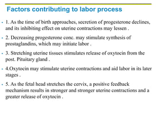 Factors contributing to labor process
 1. As the time of birth approaches, secretion of progesterone declines,
and its inhibiting effect on uterine contractions may lessen .
 2. Decreasing progesterone conc. may stimulate synthesis of
prostaglandins, which may initiate labor .
 3. Stretching uterine tissues stimulates release of oxytocin from the
post. Pituitary gland .
 4.Oxytocin may stimulate uterine contractions and aid labor in its later
stages .
 5. As the fetal head stretches the cervix, a positive feedback
mechanism results in stronger and stronger uterine contractions and a
greater release of oxytocin .
 