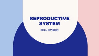 REPRODUCTIVE
SYSTEM
CELL DIVISION
 