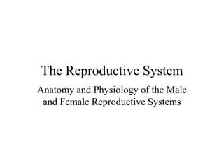 Anatomy visual data 3