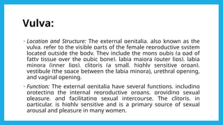 Anatomy and physiology of Reproductive system.pptx