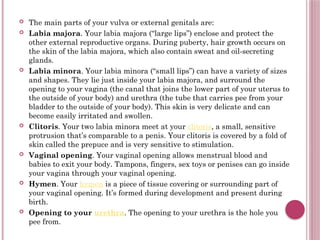 THE MALE AND FEMALE REPRODUCTIVE SYSTEM.pptx