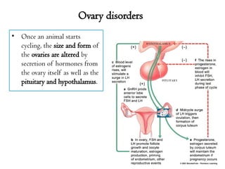 reproductive system and its pathological conditions.pptx