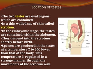 Reproductive system GRADE 10 ICSE PRESENTATION.pptx