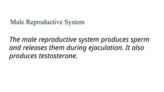 Reproductive System for Grade 10 SCIENCE | PPTX