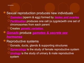 Comprehensive Overview of the Human Reproductive System: Anatomy ...