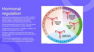 Hormonal
regulation
Gonadotropin-releasing hormone (GnRH): GnRH is
produced by the hypothalamus and stimulates the
pituitary gland to release follicle-stimulating
hormone (FSH) and luteinizing hormone (LH).
Follicle-stimulating hormone (FSH): FSH stimulates
the growth and maturation of ovarian follicles.
Luteinizing hormone (LH): LH triggers ovulation, the
release of an egg from the ovary.
Estrogen: Estrogen is produced by the maturing
ovarian follicles and stimulates the thickening of the
uterine lining.
Progesterone: Progesterone is produced by the
corpus luteum after ovulation and further thickens
the uterine lining in preparation for implantation.
 