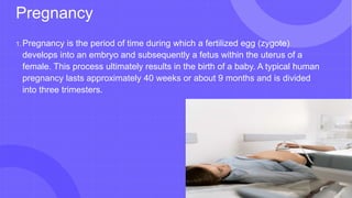 Pregnancy
1. Pregnancy is the period of time during which a fertilized egg (zygote)
develops into an embryo and subsequently a fetus within the uterus of a
female. This process ultimately results in the birth of a baby. A typical human
pregnancy lasts approximately 40 weeks or about 9 months and is divided
into three trimesters.
 