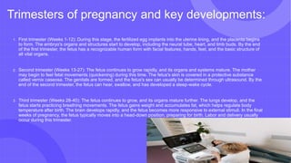 Trimesters of pregnancy and key developments:
1. First trimester (Weeks 1-12): During this stage, the fertilized egg implants into the uterine lining, and the placenta begins
to form. The embryo's organs and structures start to develop, including the neural tube, heart, and limb buds. By the end
of the first trimester, the fetus has a recognizable human form with facial features, hands, feet, and the basic structure of
all vital organs.
2. Second trimester (Weeks 13-27): The fetus continues to grow rapidly, and its organs and systems mature. The mother
may begin to feel fetal movements (quickening) during this time. The fetus's skin is covered in a protective substance
called vernix caseosa. The genitals are formed, and the fetus's sex can usually be determined through ultrasound. By the
end of the second trimester, the fetus can hear, swallow, and has developed a sleep-wake cycle.
3. Third trimester (Weeks 28-40): The fetus continues to grow, and its organs mature further. The lungs develop, and the
fetus starts practicing breathing movements. The fetus gains weight and accumulates fat, which helps regulate body
temperature after birth. The brain develops rapidly, and the fetus becomes more responsive to external stimuli. In the final
weeks of pregnancy, the fetus typically moves into a head-down position, preparing for birth. Labor and delivery usually
occur during this trimester.
 