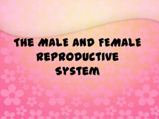The MALE and FEMALE
    Reproductive
       System
 
