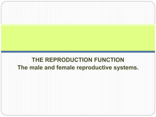 THE REPRODUCTION FUNCTION
The male and female reproductive systems.
 