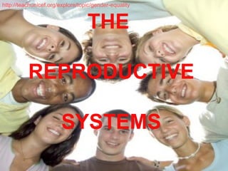 http://teachunicef.org/explore/topic/gender-equality
THE
REPRODUCTIVE
SYSTEMS