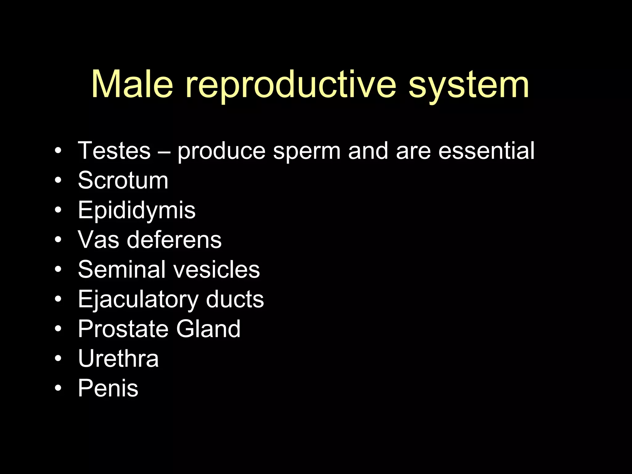 Reproductive system by Tlali | PPT