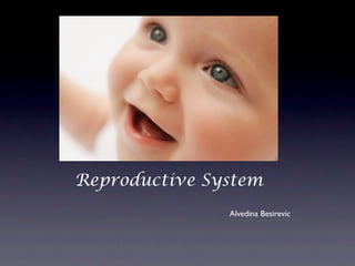 Reproductive System
               Alvedina Besirevic
 