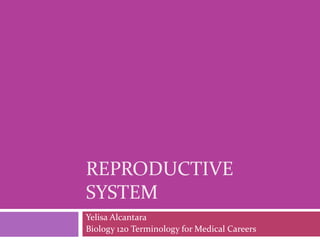 REPRODUCTIVE
SYSTEM
Yelisa Alcantara
Biology 120 Terminology for Medical Careers
 