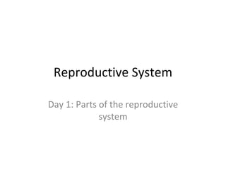 Reproductive System Day 1: Parts of the reproductive system 