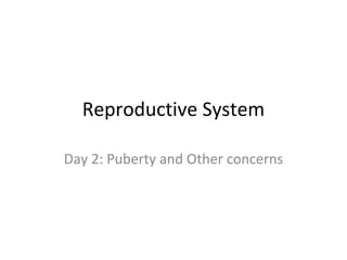Reproductive System Day 2: Puberty and Other concerns 