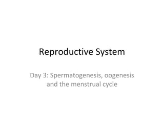 Reproductive System Day 3: Spermatogenesis, oogenesis and the menstrual cycle 