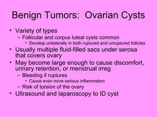Benign Tumors: Ovarian Cysts
• Variety of types
– Follicular and corpus luteal cysts common
• Develop unilaterally in both ruptured and unruptured follicles
• Usually multiple fluid-filled sacs under serosa
that covers ovary
• May become large enough to cause discomfort,
urinary retention, or menstrual irreg
– Bleeding if ruptures
• Cause even more serious inflammation
– Risk of torsion of the ovary
• Ultrasound and laparoscopy to ID cyst
 
