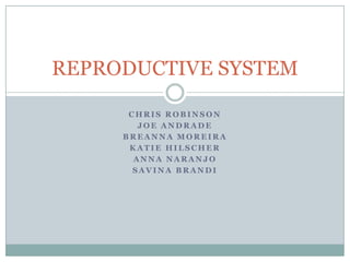 C H R I S R O B I N S O N
J O E A N D R A D E
B R E A N N A M O R E I R A
K A T I E H I L S C H E R
A N N A N A R A N J O
S A V I N A B R A N D I
REPRODUCTIVE SYSTEM
 