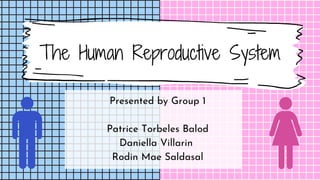 The Human Reproductive System
Presented by Group 1
Patrice Torbeles Balod
Daniella Villarin
Rodin Mae Saldasal
 