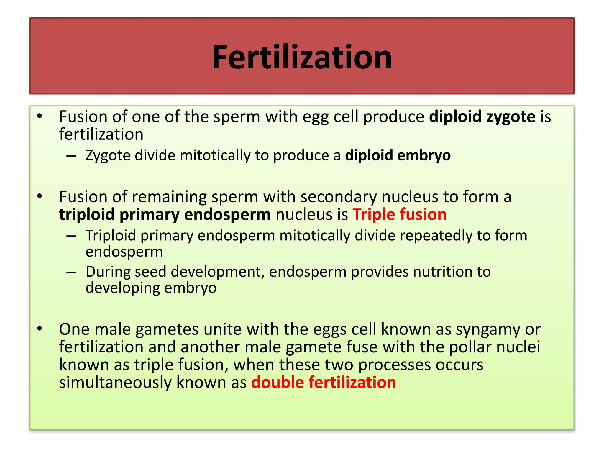 Reproductive system in plants | PPTX