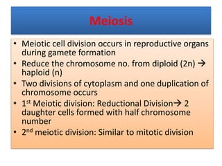 Meiosis
• Meiotic cell division occurs in reproductive organs
during gamete formation
• Reduce the chromosome no. from diploid (2n) 
haploid (n)
• Two divisions of cytoplasm and one duplication of
chromosome occurs
• 1st Meiotic division: Reductional Division 2
daughter cells formed with half chromosome
number
• 2nd meiotic division: Similar to mitotic division
 