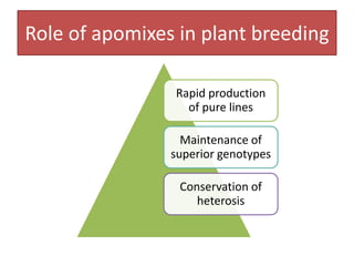 Role of apomixes in plant breeding
Rapid production
of pure lines
Maintenance of
superior genotypes
Conservation of
heterosis
 