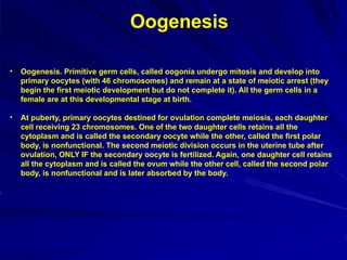 Oogenesis
• Oogenesis. Primitive germ cells, called oogonia undergo mitosis and develop into
primary oocytes (with 46 chromosomes) and remain at a state of meiotic arrest (they
begin the first meiotic development but do not complete it). All the germ cells in a
female are at this developmental stage at birth.
• At puberty, primary oocytes destined for ovulation complete meiosis, each daughter
cell receiving 23 chromosomes. One of the two daughter cells retains all the
cytoplasm and is called the secondary oocyte while the other, called the first polar
body, is nonfunctional. The second meiotic division occurs in the uterine tube after
ovulation, ONLY IF the secondary oocyte is fertilized. Again, one daughter cell retains
all the cytoplasm and is called the ovum while the other cell, called the second polar
body, is nonfunctional and is later absorbed by the body.
 