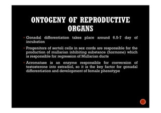 ONTOGENY OF REPRODUCTIVE
ORGANS
 Gonadal differentiation takes place around 6.5-7 day of
incubation
 Progenitors of sertoli cells in sex cords are responsible for the
production of mullarian inhibiting substance (hormone) which
is responsible for regression of Mullarian ducts
 Acromatase is an enzyme responsible for conversion of
testosterone into estradiol, so it is the key factor for gonadal
differentiation and development of female phenotype
 