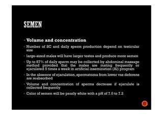 SEMEN
 Volume and concentration
 Number of SC and daily sperm production depend on testicular
size
 large-sized males will have larger testes and produce more semen
 Up to 87% of daily sperm may be collected by abdominal massage
method provided that the males are mating frequently or
ejaculated 5 times a week in artificial insemination (Al) program
 In the absence of ejaculation, spermatozoa from lower vas deferens
are reabsorbed
 Volume and concentration of sperms decrease if ejaculate is
collected frequently
 Color of semen will be pearly white with a pH of 7.0 to 7.2
 