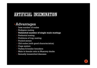 ARTIFICIAL INSEMINATION
Advantages
 Less number of males
 Pedigree mating
 Unlimited number of single male matings
 Prefential mating
 Problems of trap nesting
 Pooled semen
 Old males (with good characteristics)
 Cage system
 Turkey & broiler breeders
 Male to female ratio in Muscovy ducks
 Sexually transmitted diseases
 