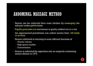 ABDOMINAL MASSAGE METHOD
 Semen can be collected from male chicken by massaging the
soft part under pelvic bone
 Papilla protrudes out and semen is gently milked out in a vial
 An experienced practitioner can collect semen from 145 birds
in an hour
 Semen collected at morning is more efficient because of
 Greater volume
 High sperm motility
 Concentration
 Semen is collected by aspiration into an ampoule containing
semen diluent at 15°C
 