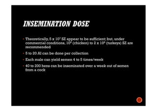 INSEMINATION DOSE
 Theoretically, 5 x 107 SZ appear to be sufficient; but, under
commercial conditions, 108 (chicken) to 2 x 108 (turkeys) SZ are
recommended
 5 to 20 AI can be done per collection
 Each male can yield semen 4 to 5 times/week
 40 to 200 hens can be inseminated over a week out of semen
from a cock
 