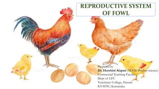 Female And Male Reproductive System Of Fowl pptx female-and-male-reproductive-system-of-fowl-pptx