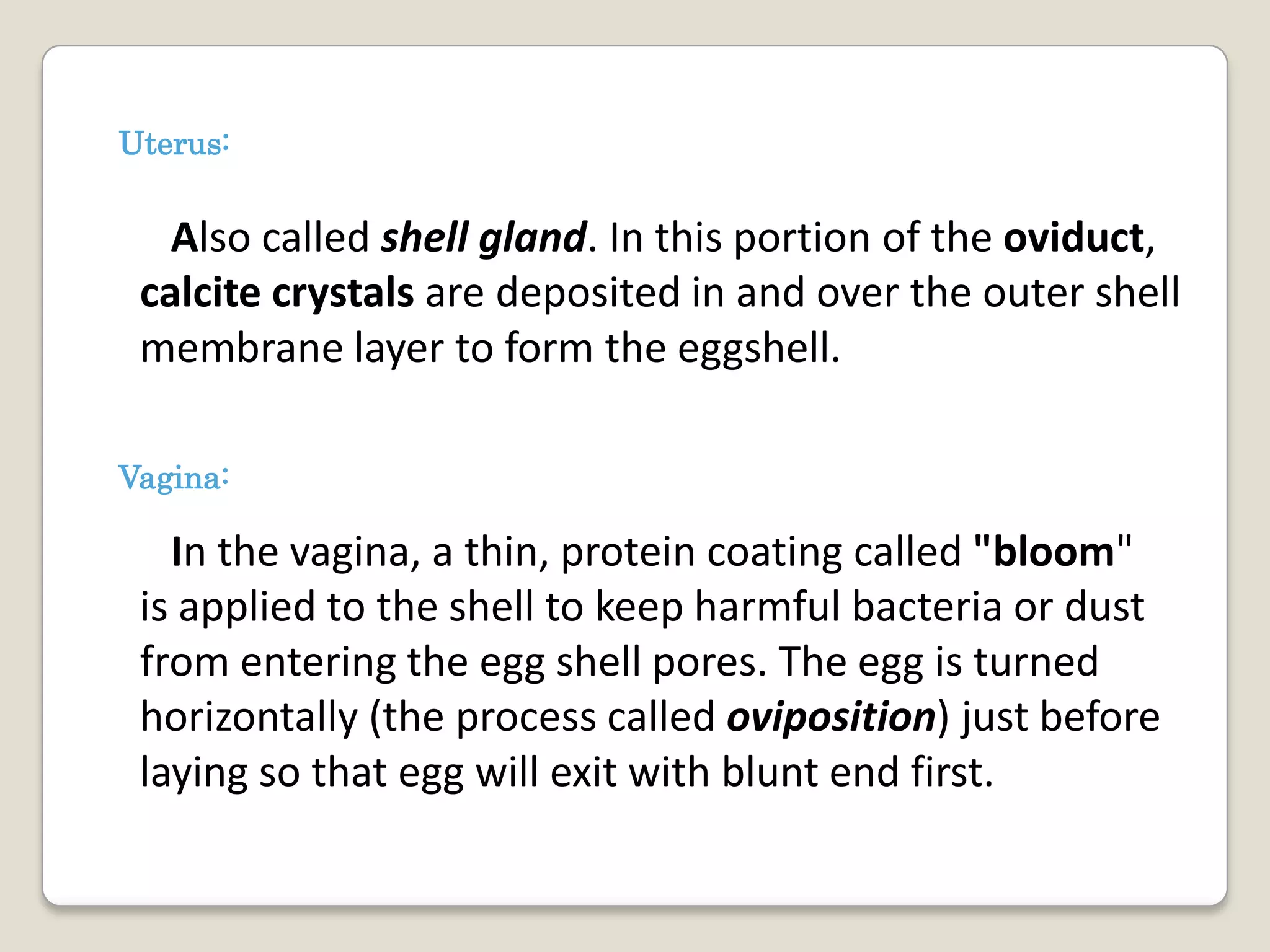 Uterus:


   Also called shell gland. In this portion of the oviduct,
 calcite crystals are deposited in and over the outer shell
 membrane layer to form the eggshell.

Vagina:

   In the vagina, a thin, protein coating called "bloom"
 is applied to the shell to keep harmful bacteria or dust
 from entering the egg shell pores. The egg is turned
 horizontally (the process called oviposition) just before
 laying so that egg will exit with blunt end first.
 