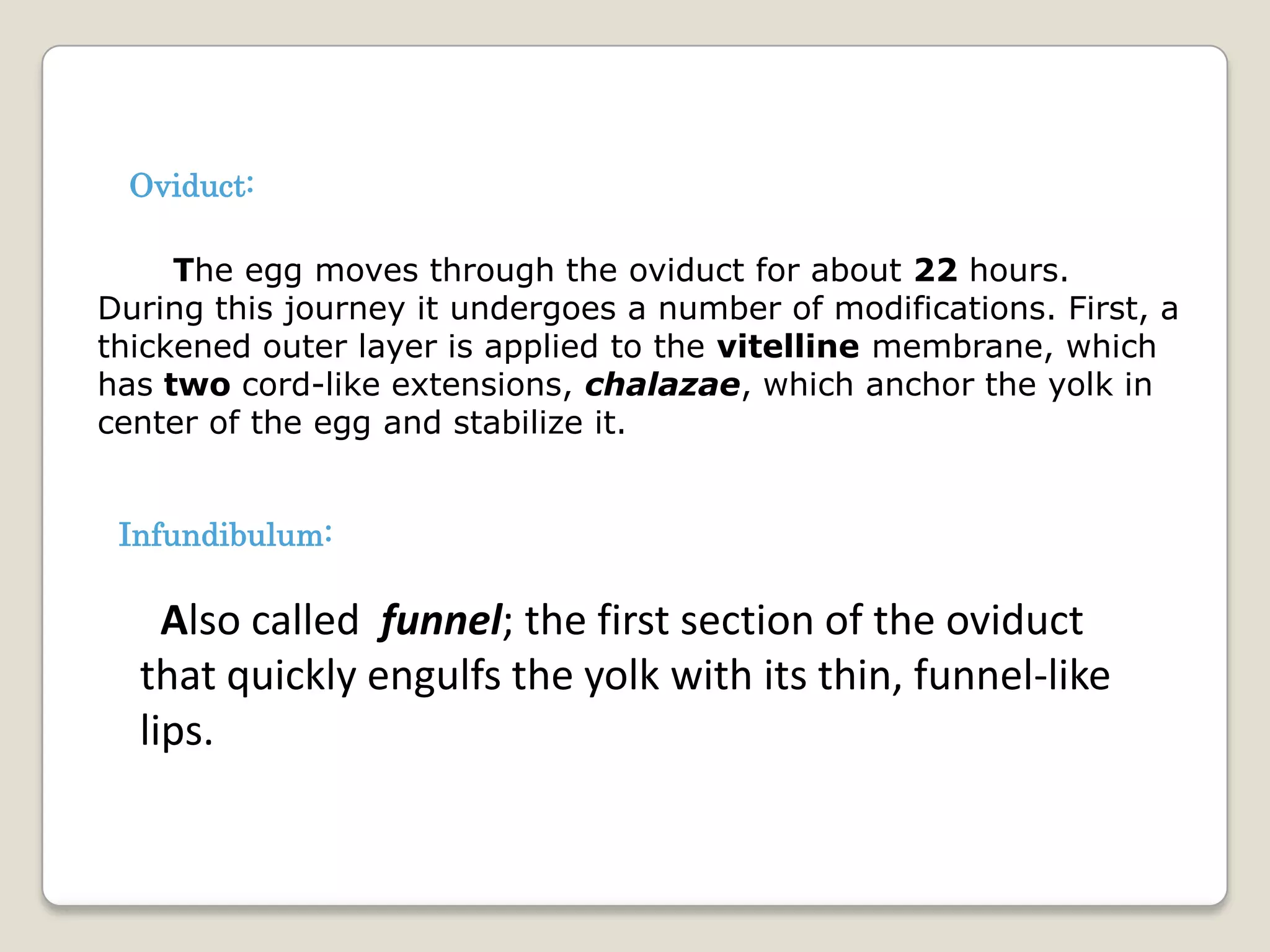 Oviduct:

     The egg moves through the oviduct for about 22 hours.
During this journey it undergoes a number of modifications. First, a
thickened outer layer is applied to the vitelline membrane, which
has two cord-like extensions, chalazae, which anchor the yolk in
center of the egg and stabilize it.


 Infundibulum:

    Also called funnel; the first section of the oviduct
  that quickly engulfs the yolk with its thin, funnel-like
  lips.
 