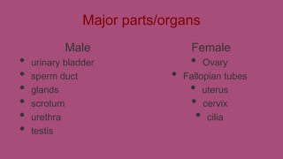 Major parts/organs

•
•
•
•
•
•

Male
urinary bladder
sperm duct
glands
scrotum
urethra
testis

Female

•

•

Ovary
Fallopian tubes
uterus
cervix
cilia

•
•
•

 