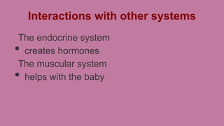Interactions with other systems
The endocrine system
creates hormones
The muscular system
helps with the baby

•
•

 
