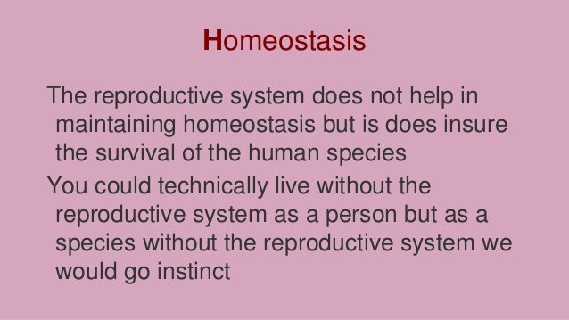 system parts of endocrine johnson olivia Reproductive system