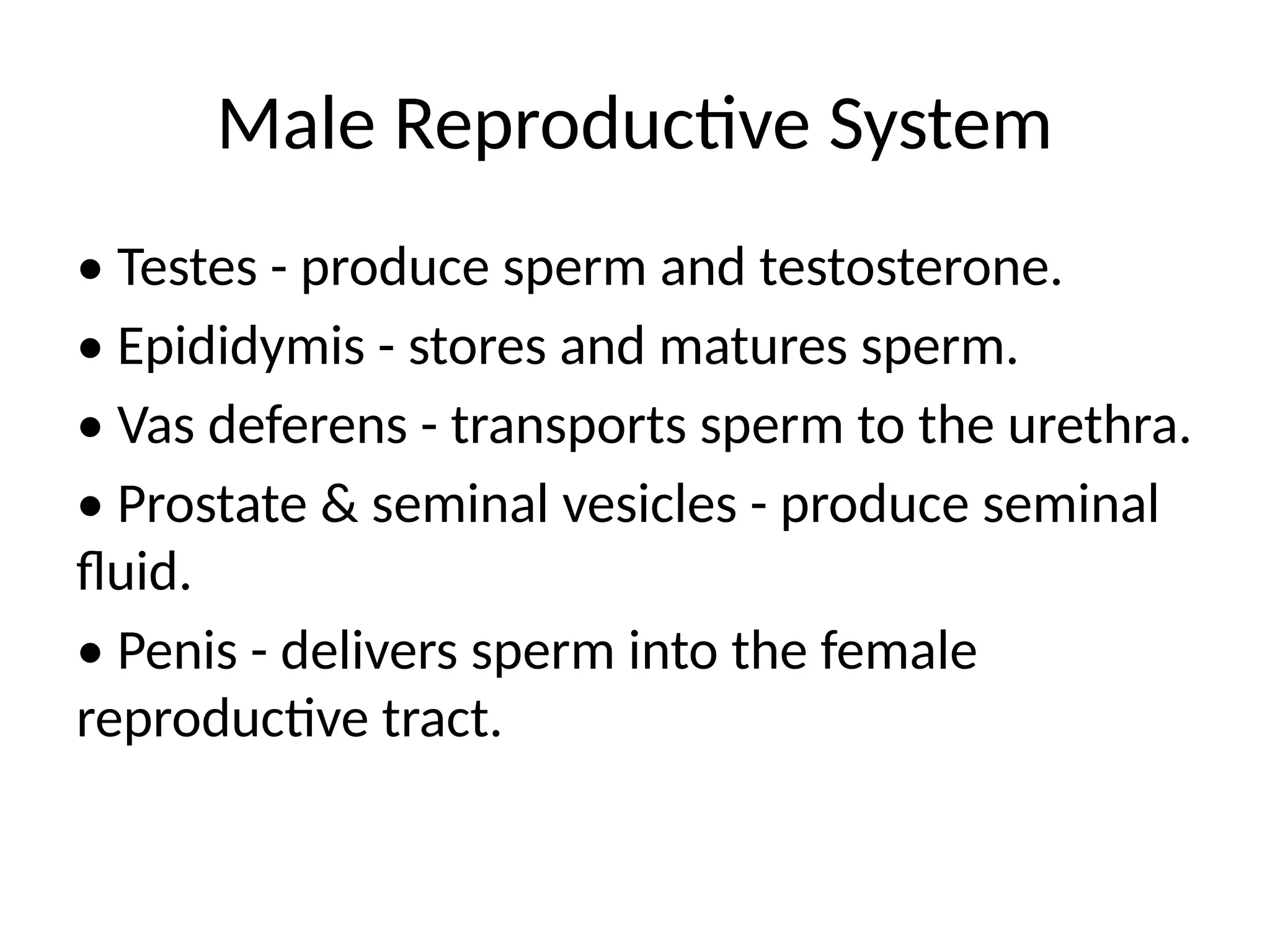 The Human Reproductive System: An Overview | PDF