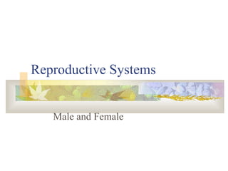 Reproductive Systems
Male and Female

 