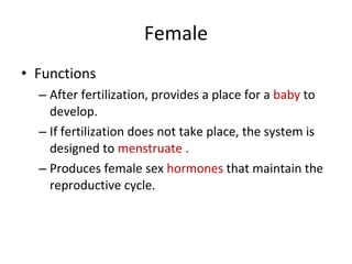 Female Functions After fertilization, provides a place for a  baby  to develop. If fertilization does not take place, the system is designed to  menstruate . Produces female sex  hormones  that maintain the reproductive cycle.  