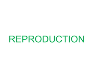 REPRODUCTION
 