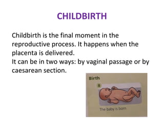 CHILDBIRTH
Childbirth is the final moment in the
reproductive process. It happens when the
placenta is delivered.
It can be in two ways: by vaginal passage or by
caesarean section.
 